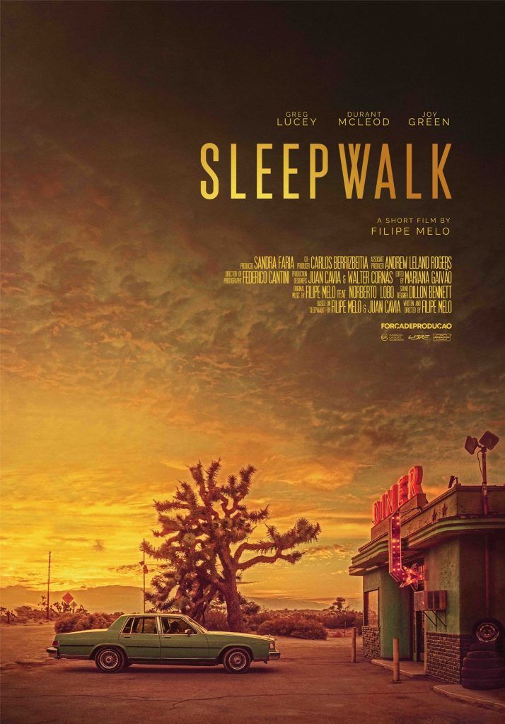 Sleepwalk 1 3