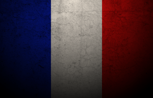 6833184 france flag 3