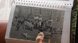 grande nuvem cinza ffp 2018 3