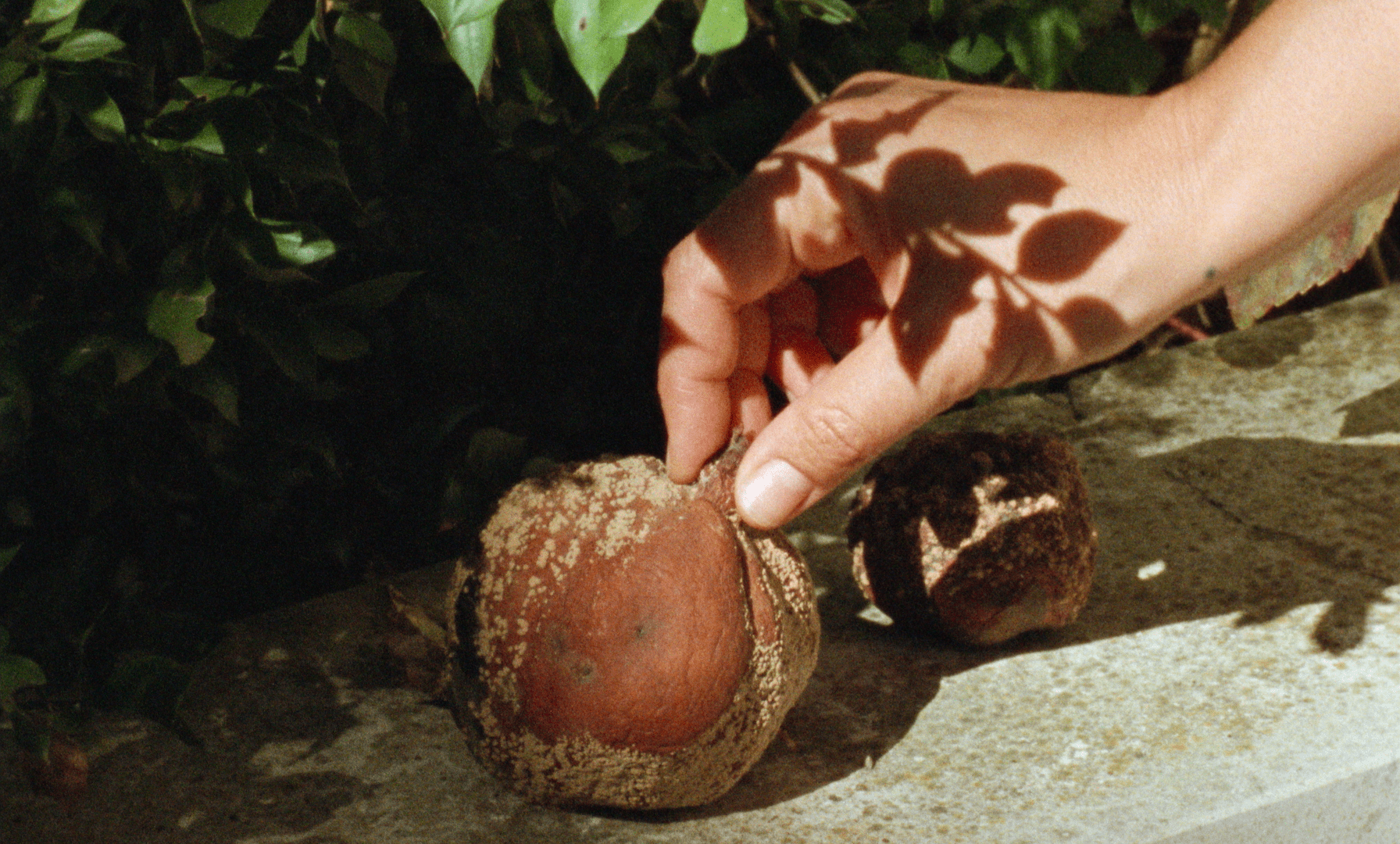 DiariosdeOtsoga still 3 5