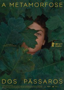 poster metamorfose 3