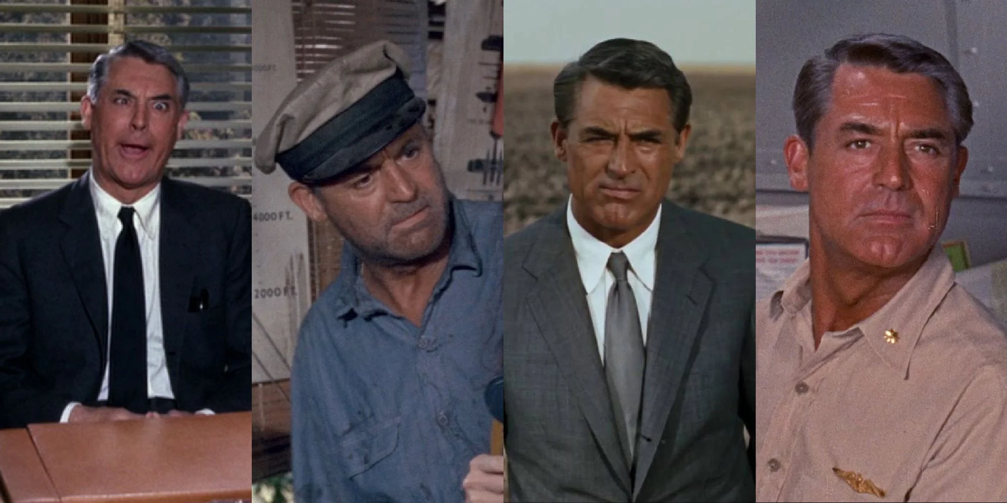 Cary Grant north by northwest charade father goose operation petticoat 1