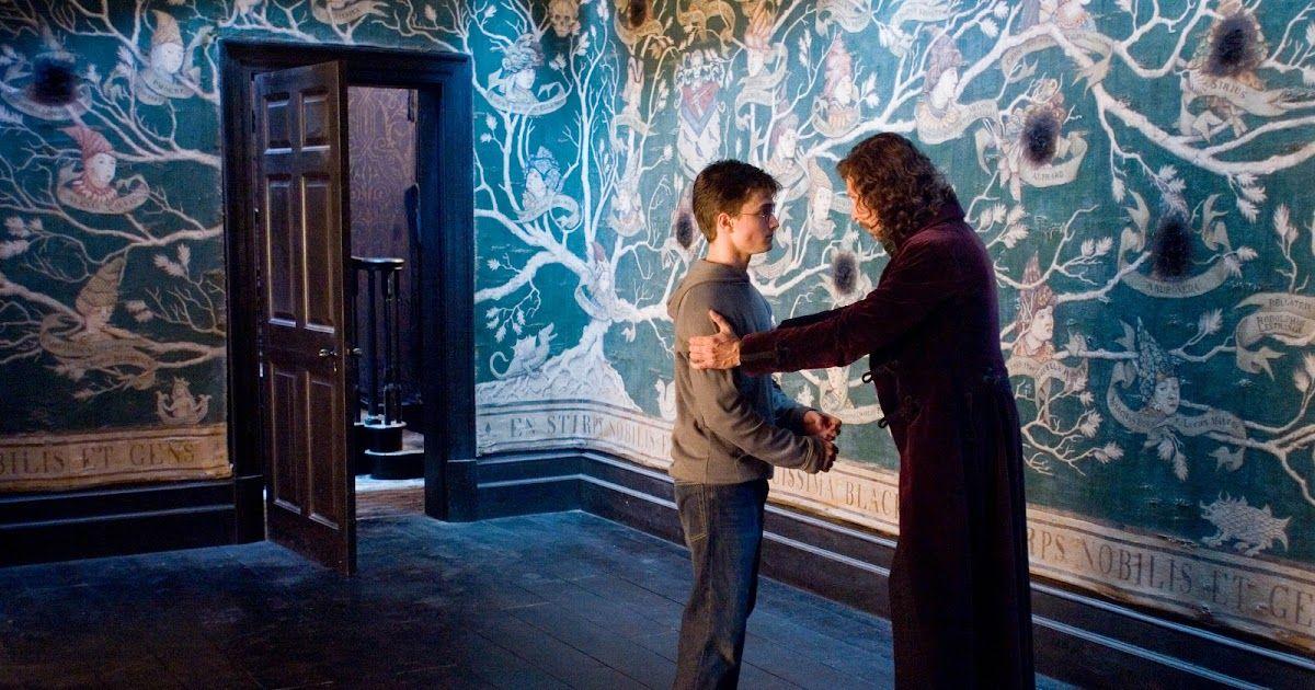 HarryAndSirius WB F5 GrimmauldPlaceBlackFamilyTree HP5D 11497 15