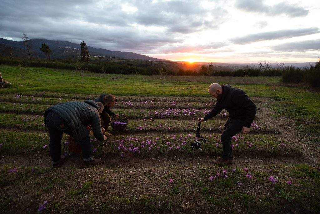 fotografia de Filipe Patrocinio 6