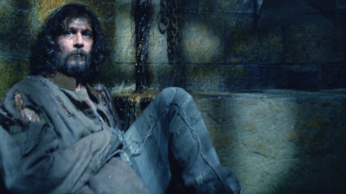 Sirius Black Da Prisao de Azkaban a Luta contra Voldemort Uma Historia Epica 1 1 8