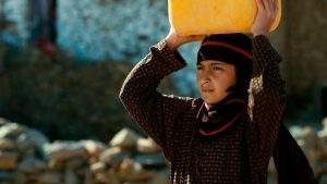 e3b75dcddb5a5a0e0bff46427507bd084533b9c4df9f0f500ad29598ca43baa8. SX1080 FMjpg 3