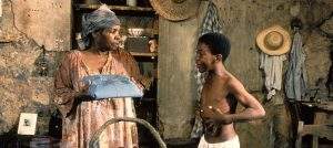 sugar cane ally 1983 3