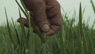 CineEco Extensão Coimbra