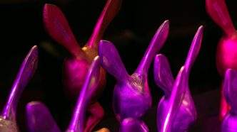 34.º Festival MixBrasil