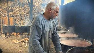 "Adas Falasteen", de Hamdi Khalil Elhusseini e Samar Taher Lulu (Palestina, 2024) Moinho Cine Fest