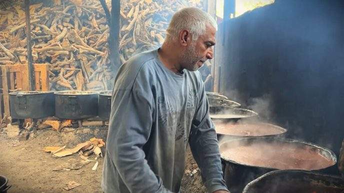 "Adas Falasteen", de Hamdi Khalil Elhusseini e Samar Taher Lulu (Palestina, 2024) Moinho Cine Fest