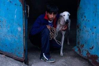 "Ciudad Sin Sueño", de Guillermo Galoe Curtas de Vila do Conde