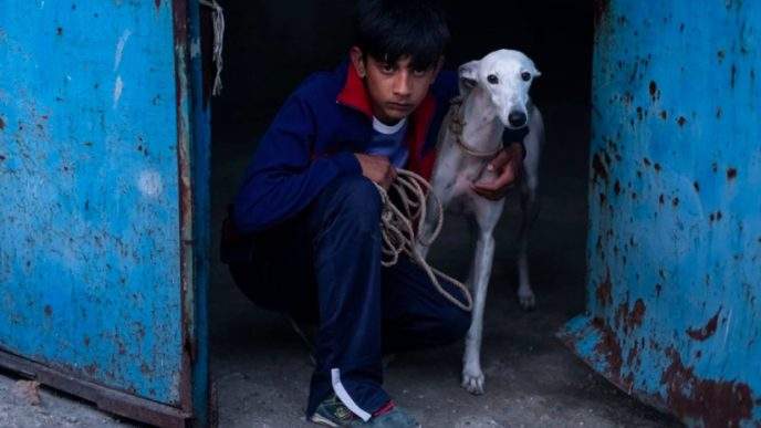 "Ciudad Sin Sueño", de Guillermo Galoe Curtas de Vila do Conde