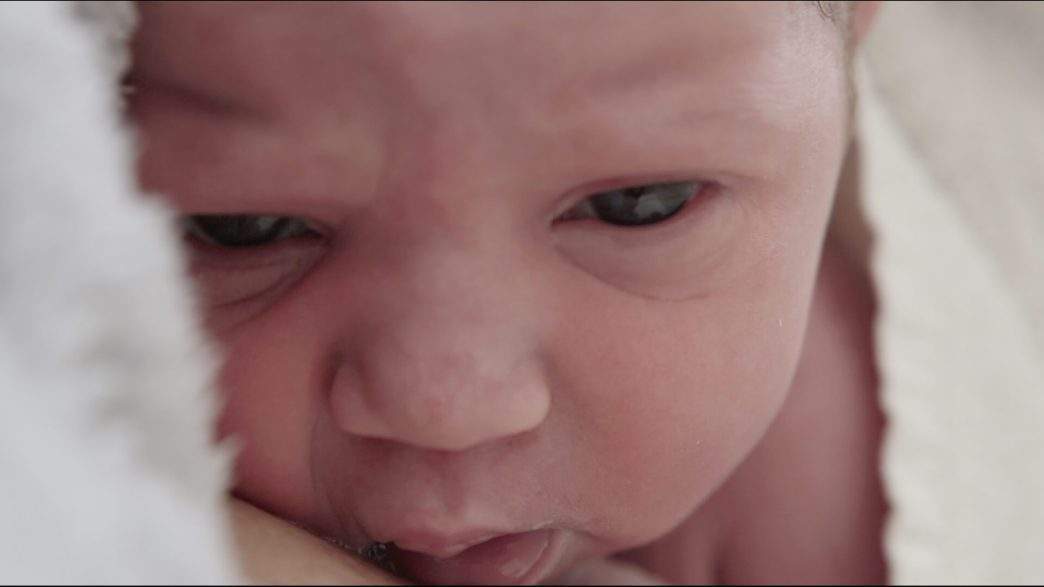 "Guardiãs do Nascimento", de Franscica Marvão