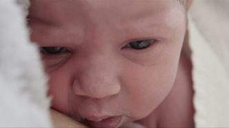 "Guardiãs do Nascimento", de Franscica Marvão