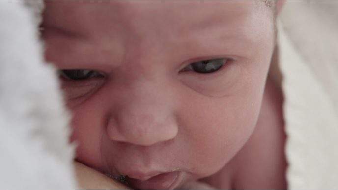 "Guardiãs do Nascimento", de Franscica Marvão