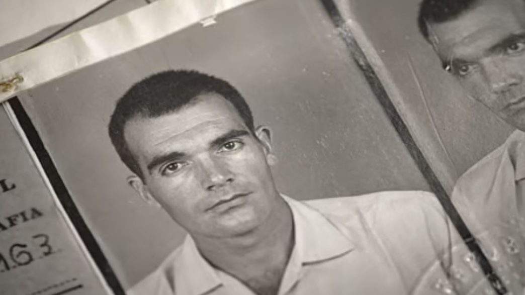 Chão Verde de Pássaros Escritos