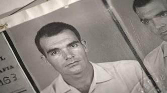 Chão Verde de Pássaros Escritos