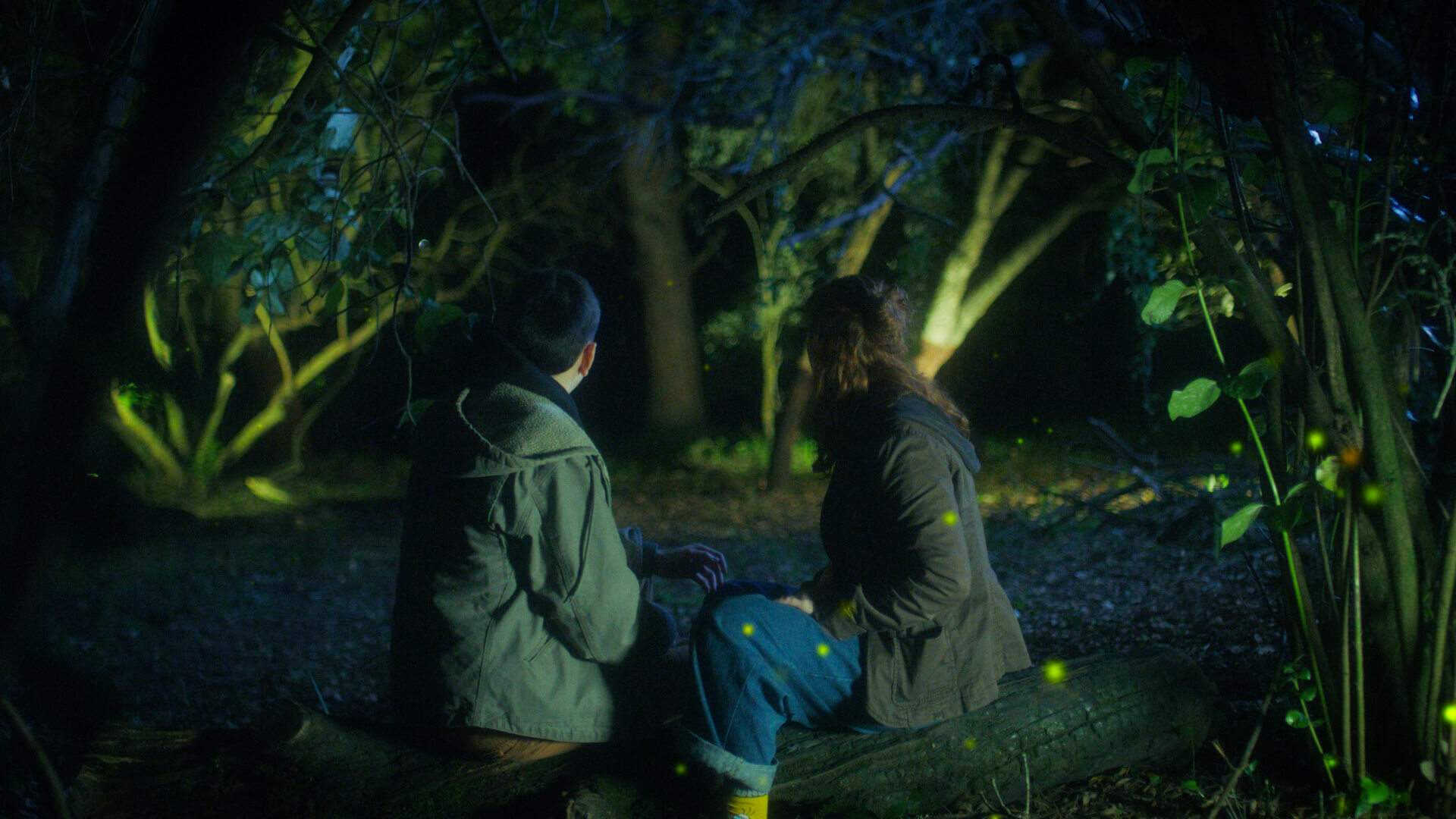 "Onde Nascem os Pirilampos", de Clara Vieira