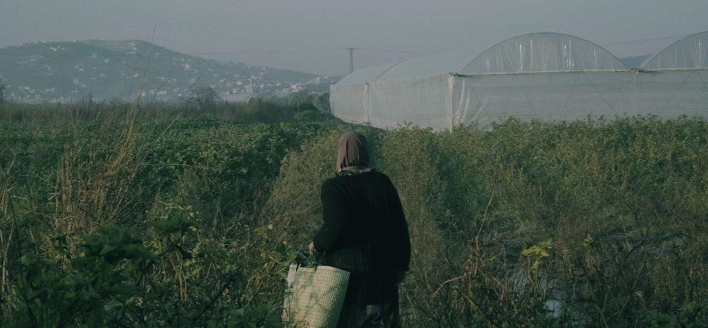 "Bukra", de Diana Antunes Indie Lisboa Prémios Indústria